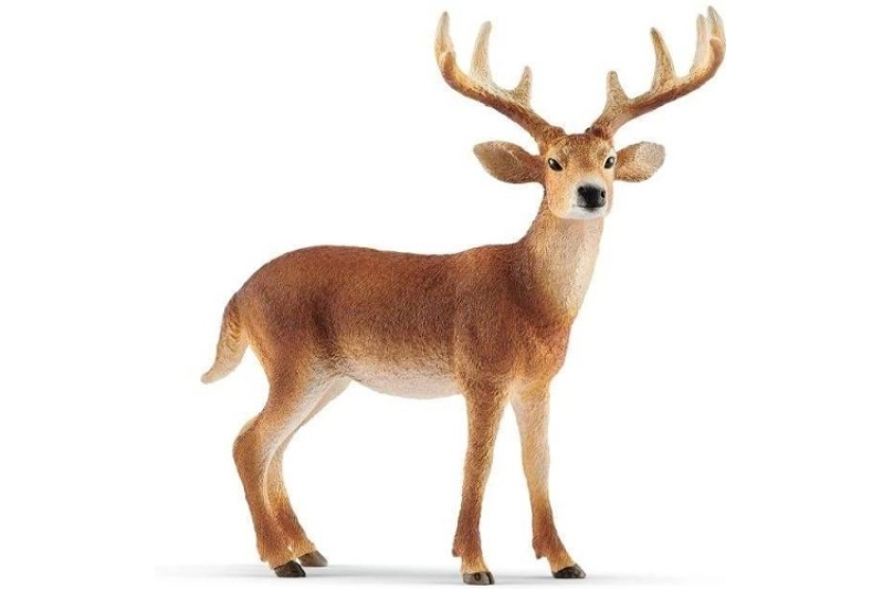 Cèrvol de cua blanca mascle Schleich