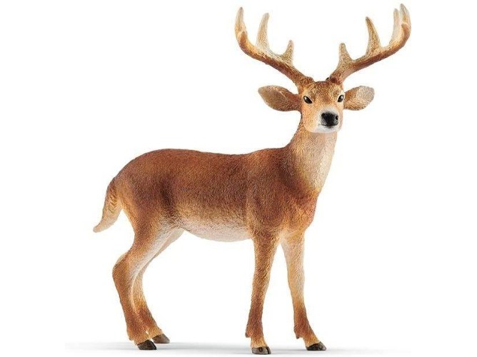 Cèrvol de cua blanca mascle Schleich