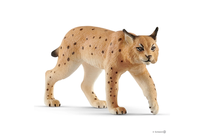 Lince Schleich