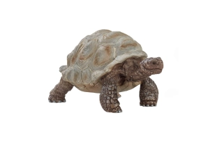 Tortuga gigante Schleich