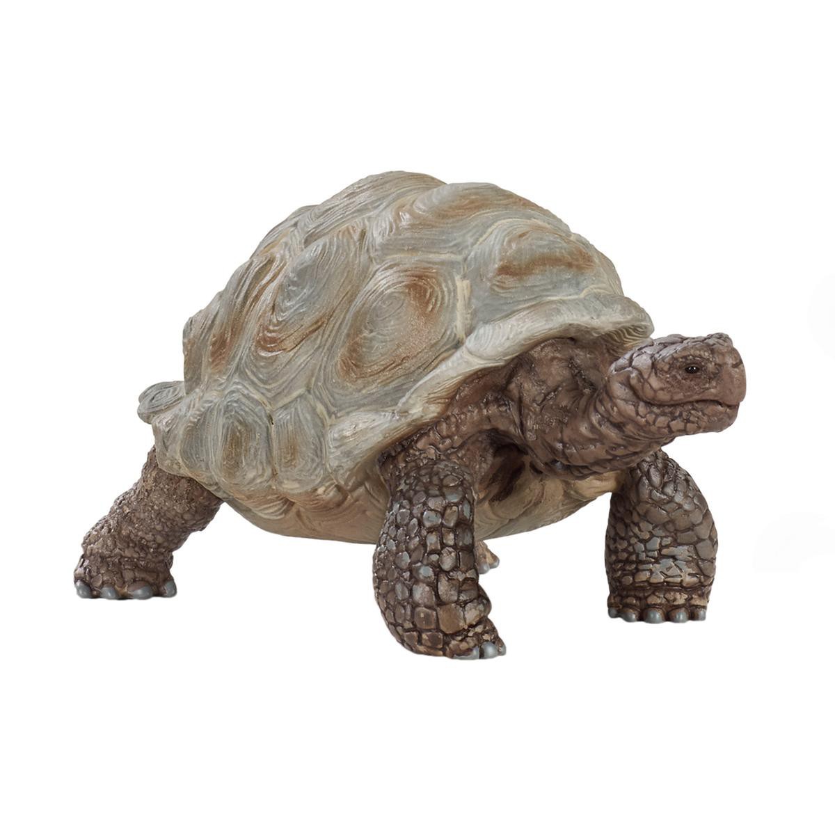 Tortuga gigante Schleich