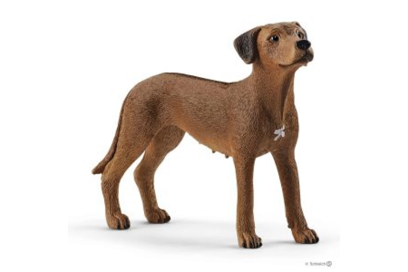 Gos crestat rodesiano Schleich