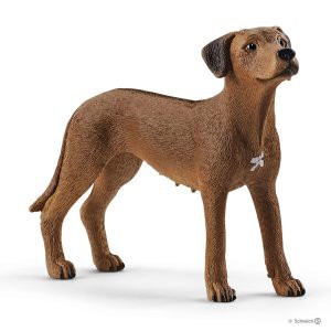 Perro crestado rodesiano Schleich