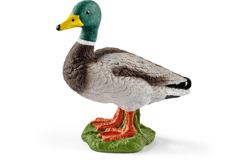 Pato Schleich