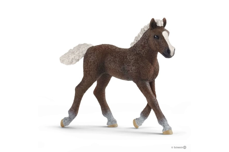 Potro selva negra Schleich