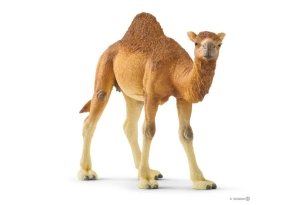 Dromedario Schleich