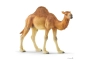 Dromedario Schleich