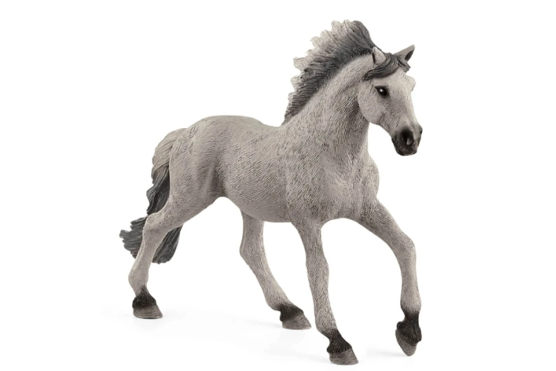 Semental Sorraia Mustang