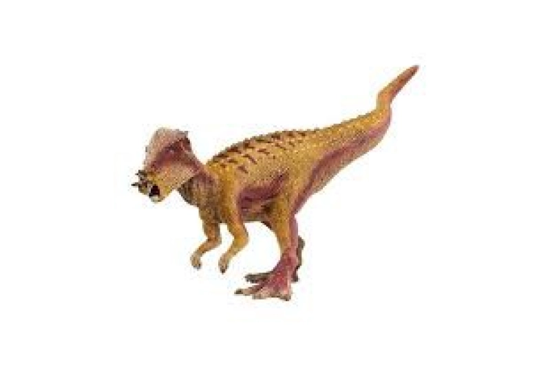 PACHYCEPHALOSAURUS SCHLEICH
