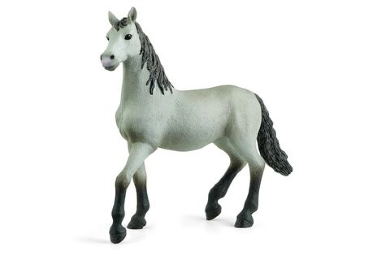 Poltre Pura raça Schleich