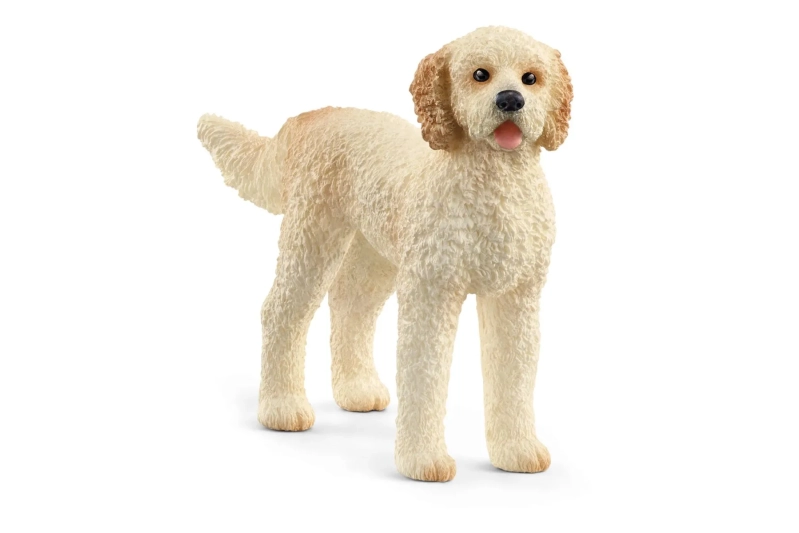 Perro Goldendoodle Schleich