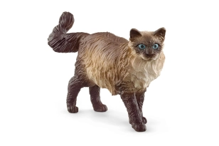 Gato Ragdoll Schleich