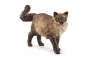 Gat Ragdoll Schleich