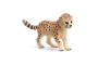 Cria de gueopard Schleich