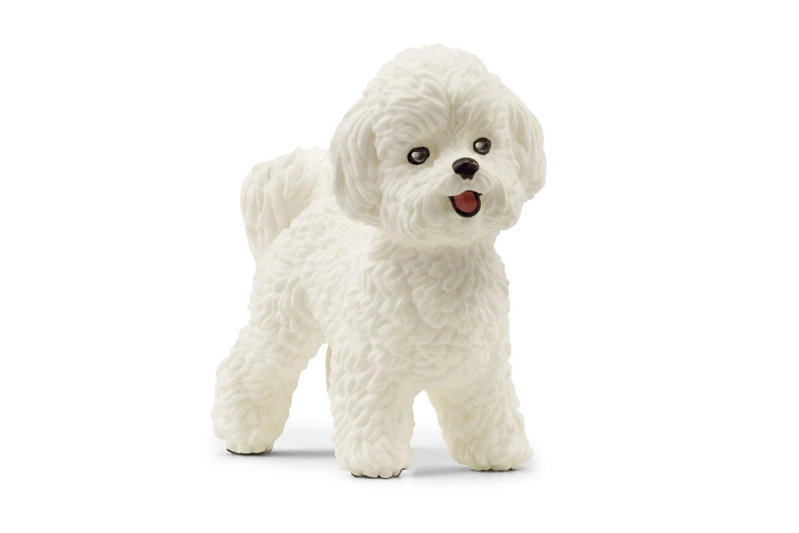 Gos bichón frisé Schleich
