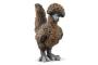 Gallinitas Schleich