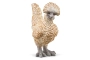 Gallinitas Schleich