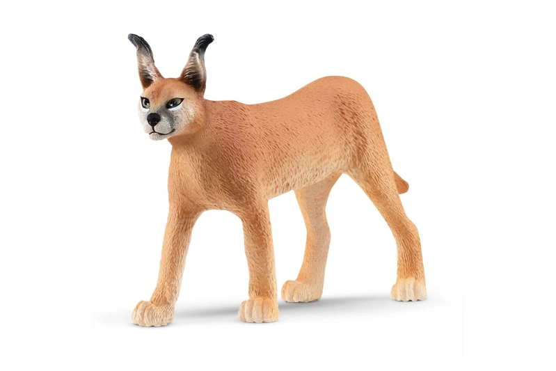 Caracal femella Schleich
