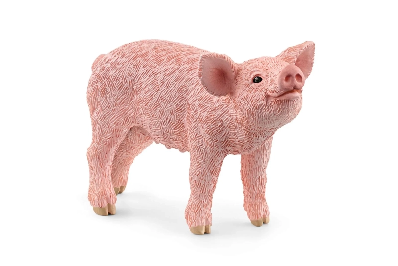 Lechón Schleich