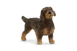 Teckel de pèl dur Schleich