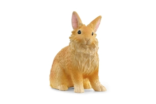 Conejo cabeza de león