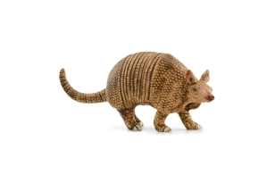 Armadillo