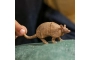 Armadillo Schleich