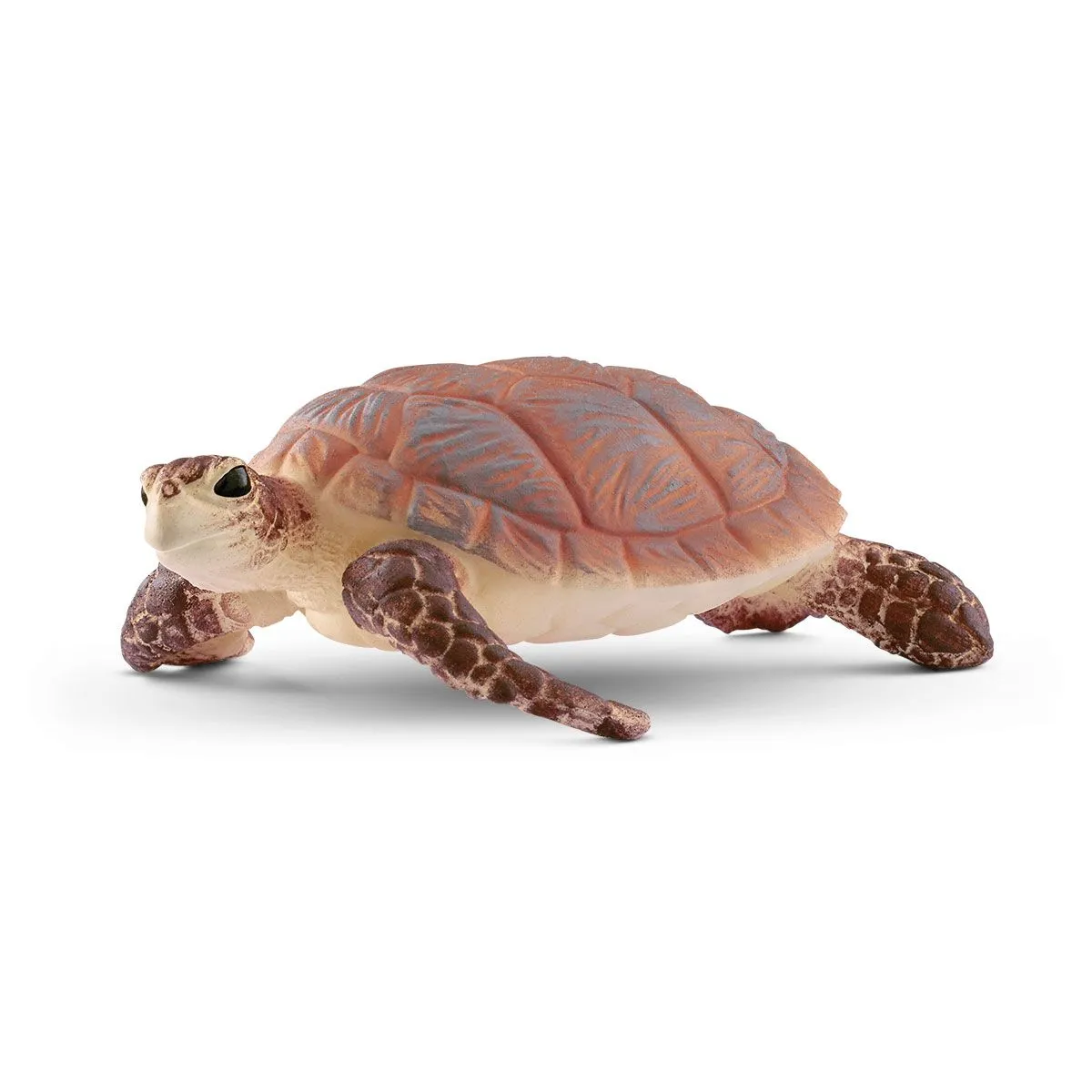 Tortuga Carey Schleich