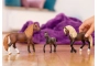 Semental Paso Peruano Schleich