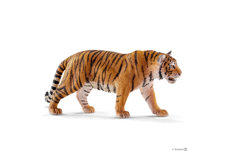 Tigre Schleich