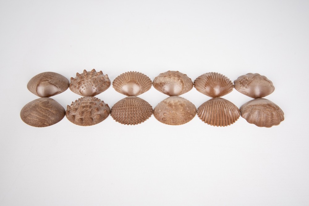 ALMEJAS TÁCTILES CON TEXTURAS