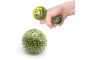 Pelota sensorial: Scrunchems Neon Beans Squish Ball