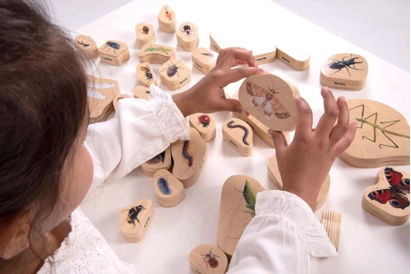 Animales invertebrados de madera