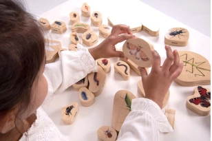 Animales invertebrados de madera