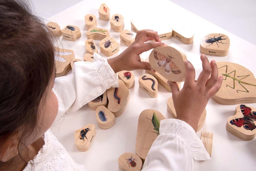 Animales invertebrados de madera