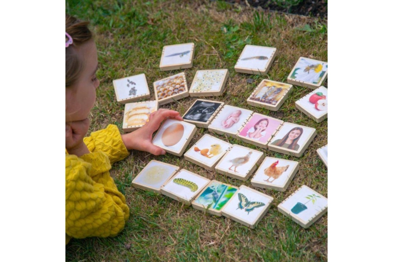 El cicle de la vida en fusta Commotion