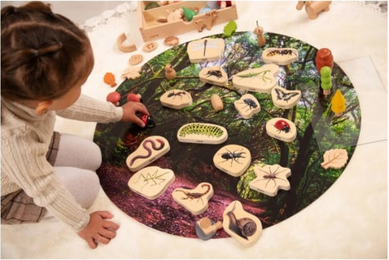 Bloques de insectos de madera- 15 piezas