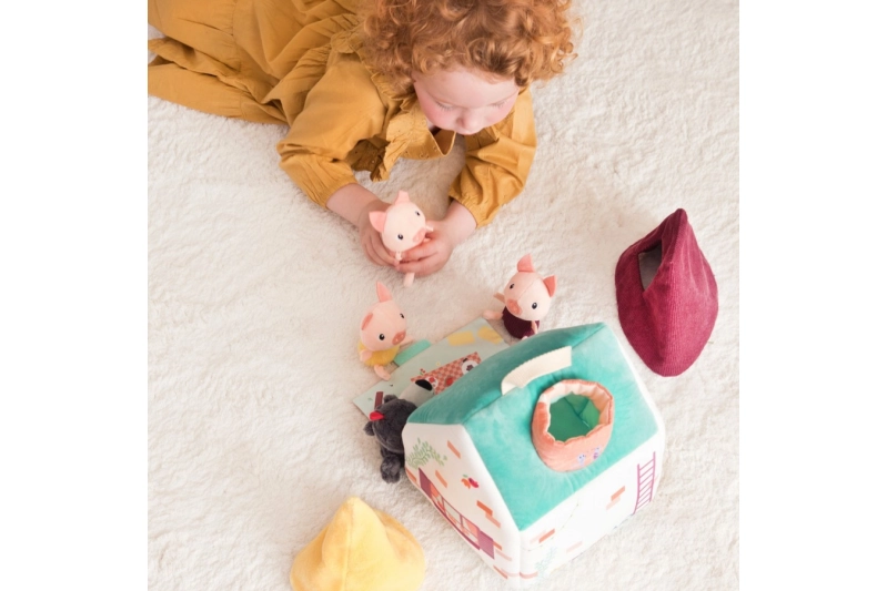 Les cases del llop i els 3 porquets de roba