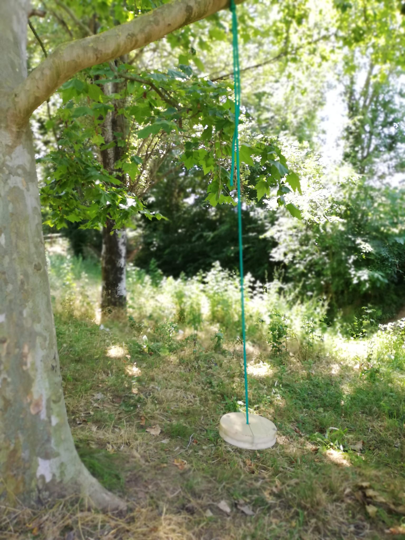 Gronxador de plat Puput