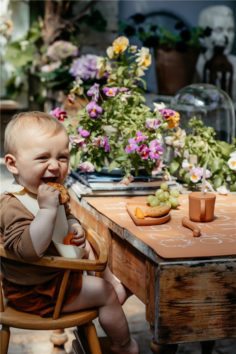 PLATOS SILICONA ALARGADOS 2 PZAS