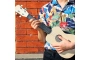 Construeix el teu propi ukelele