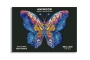PUZLE ANIWOOD PAPALLONA 100 peces