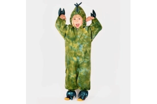 Disfraz dinosaurio 4-5 años