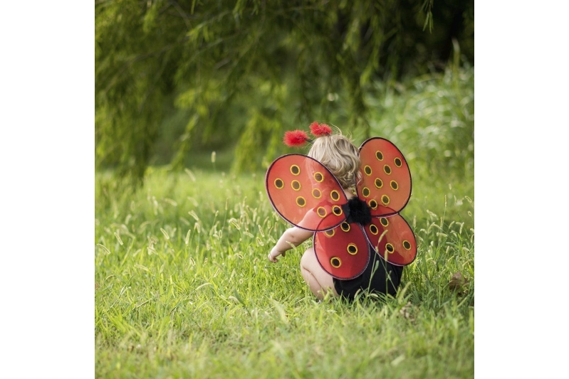 Disfressa de marieta Ladybug: Ales i diadema