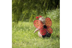 Disfressa de marieta Ladybug: Ales i diadema