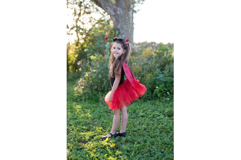 Disfressa de marieta Ladybug 4-6 anys