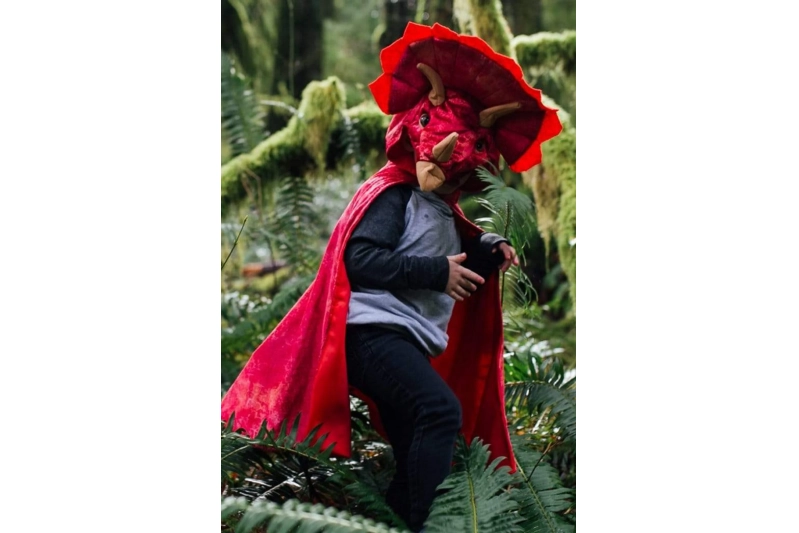 Capa Triceratops 4-5 anys