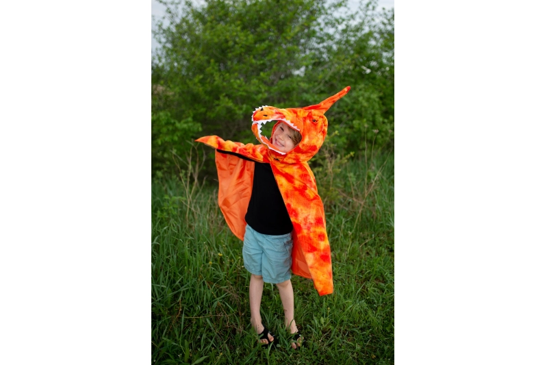 Capa Grandasaurus Pterodactyl 7-8 anys