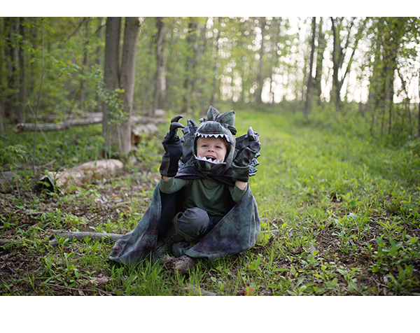 Capa Grandasaurus Dilophosaurus amb Urpes, talla 4