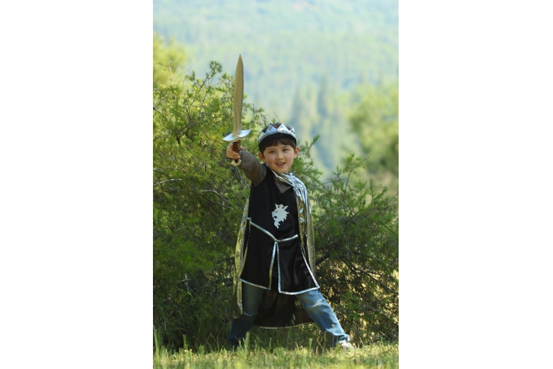 Disfressa de cavaller platejat 7-8 anys